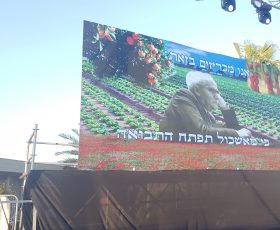 השכרת מסכי לד